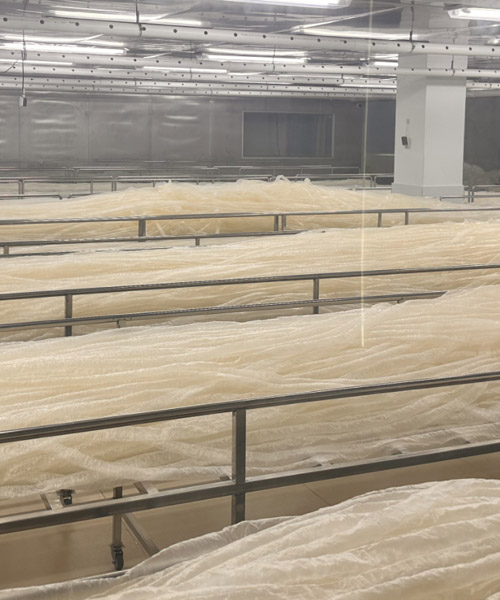 Dried Natural Casings (Flat Sheets) 